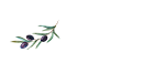 Yoliva natives Olivenöl
